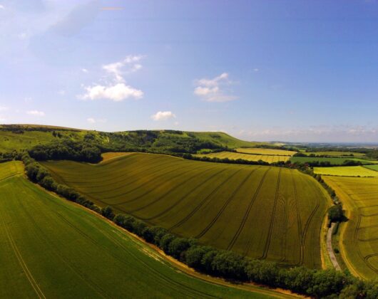 1-the-firle-estate-1.jpg