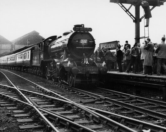 6047080.jpg