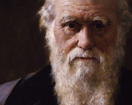 darwin-hero.jpg