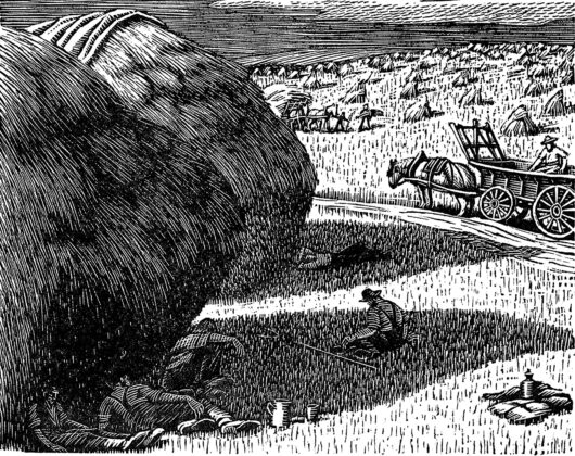 farmers-glory023.jpg