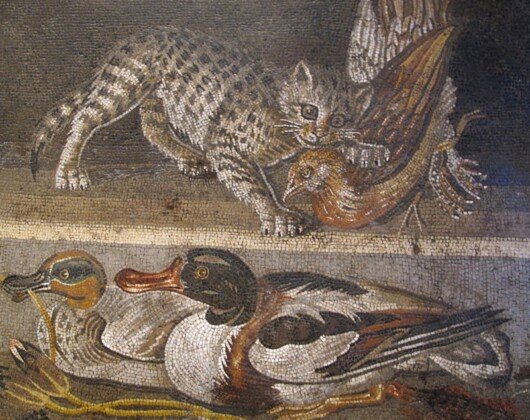 Cat mosaic found in Pompeii