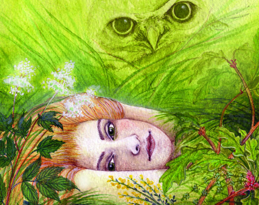 snowdonia-cover.jpg