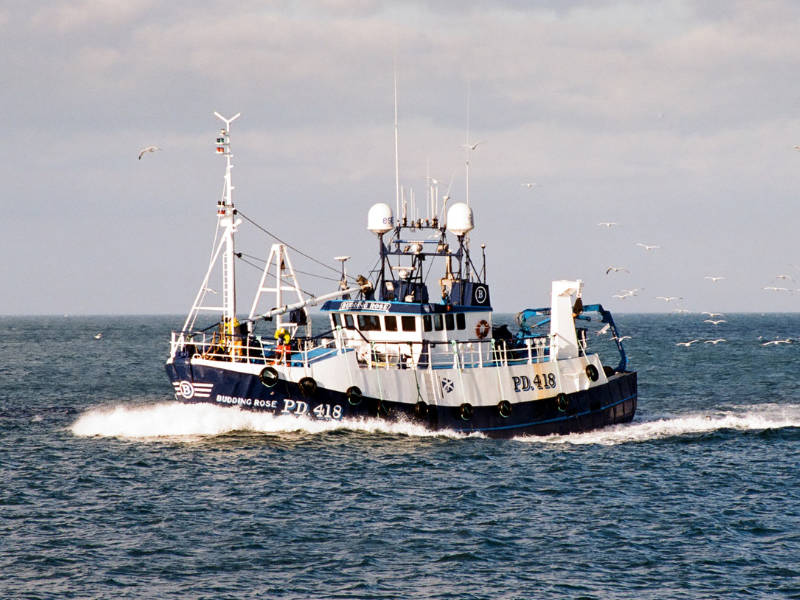 Fishing boat 