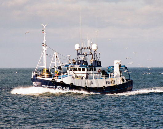 Fishing boat 
