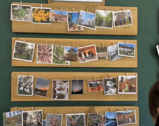 Trees for Life display board showing pictures of their work